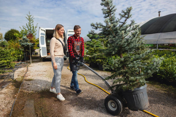  Greenwood, DE Tree Service Pros